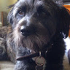 Meet your Posher, Maggie